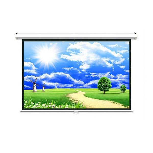 Màn chiếu treo Dalite P60WS (85Inch/ 1m52 x 1m52)