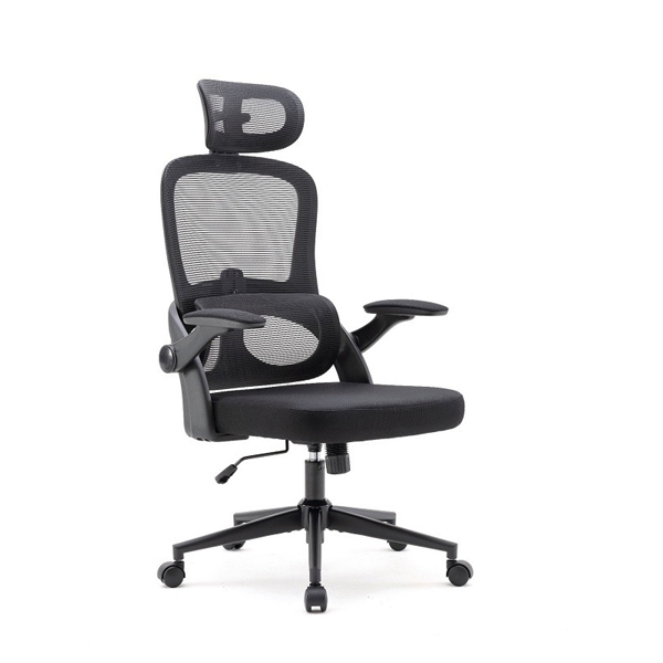 Ghế công thái học Sihoo M102C-M101 Black