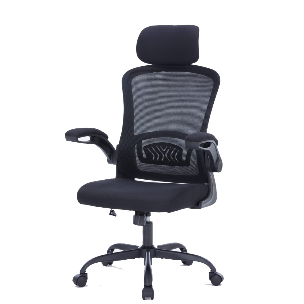 Ghế công thái học WARRIOR Pawn Series WEC106 Black