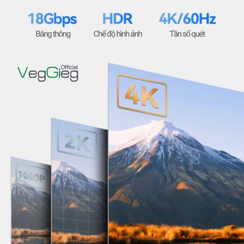 Cáp HDMI VegGieg VH109 5M chuẩn HDMI 2.0 hỗ trợ 4K/60Hz Full HD